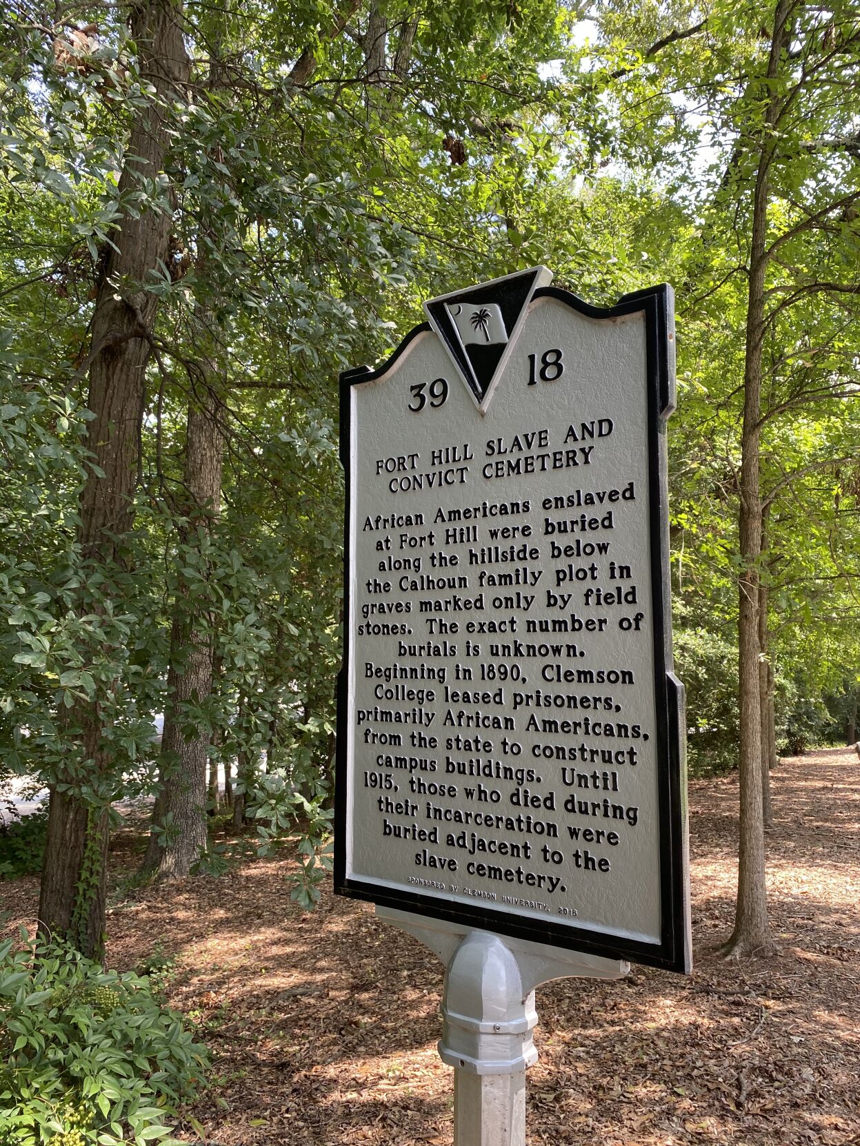 Clemson Calhoun cemetery plaque